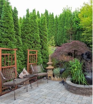 5AAAF1B6-C115-D4D0-46AF-1C65573DFE85